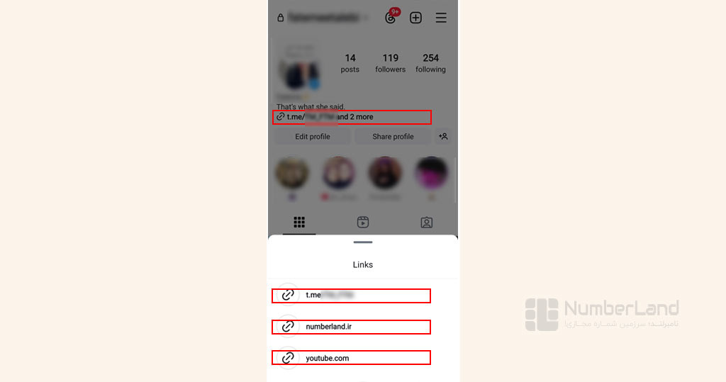 نمایش چندین لینک در بیو