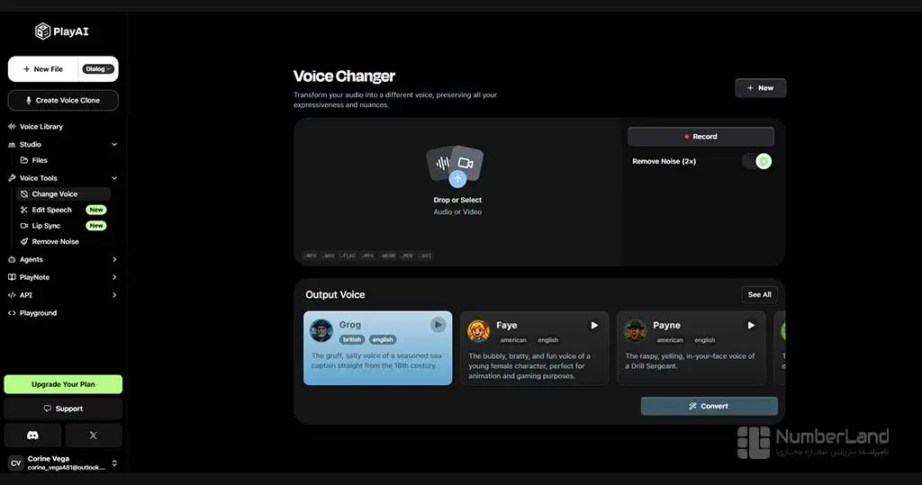 Play.HT Voice Change