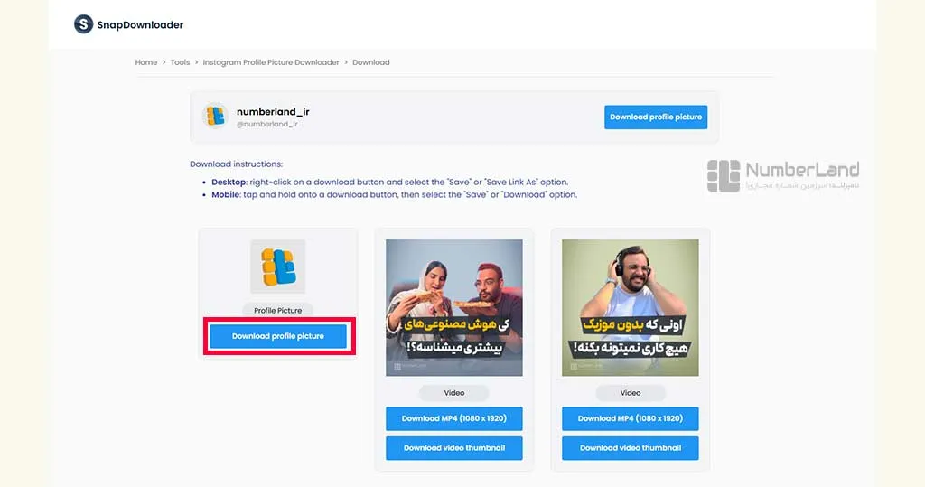 دانلود از سایت snapdownloader