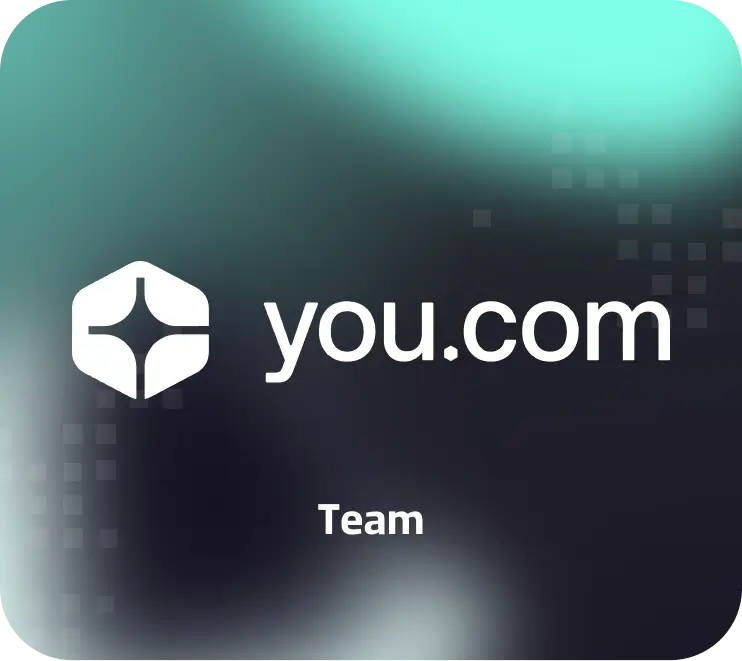 You.com Team (1 کاربره)